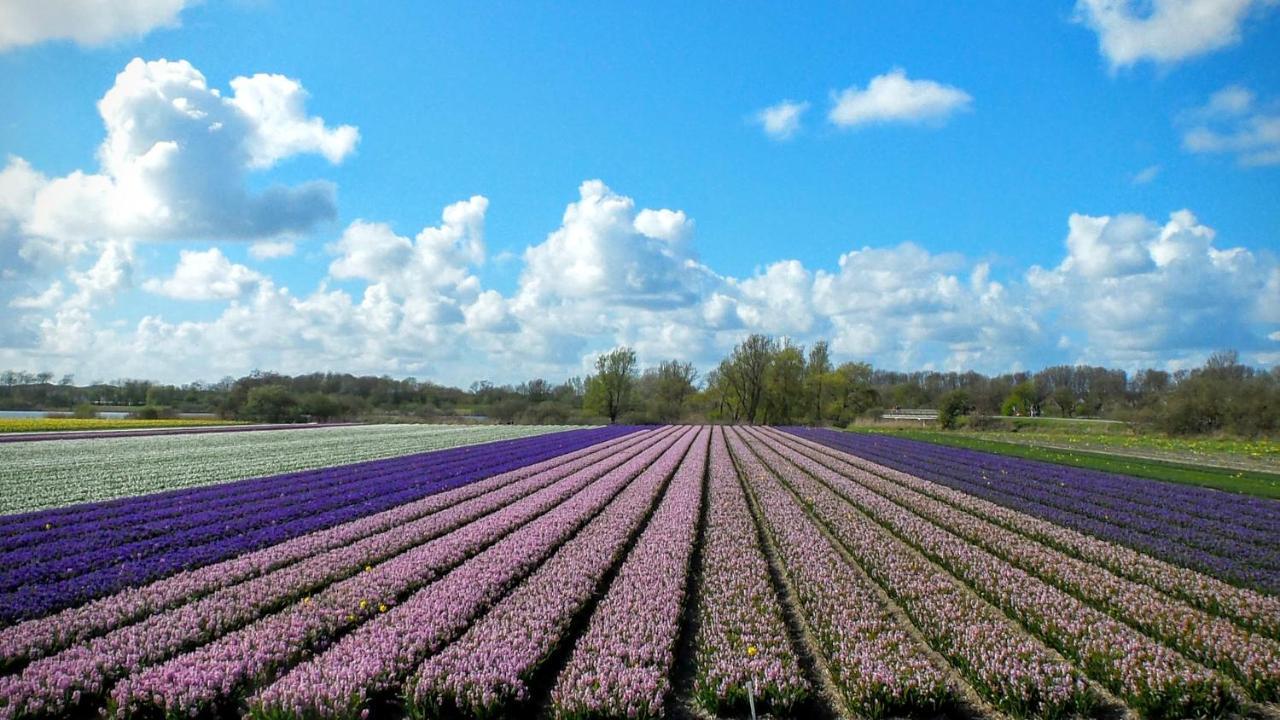 B&B Het Ruime Sop Wassenaar Zewnętrze zdjęcie
